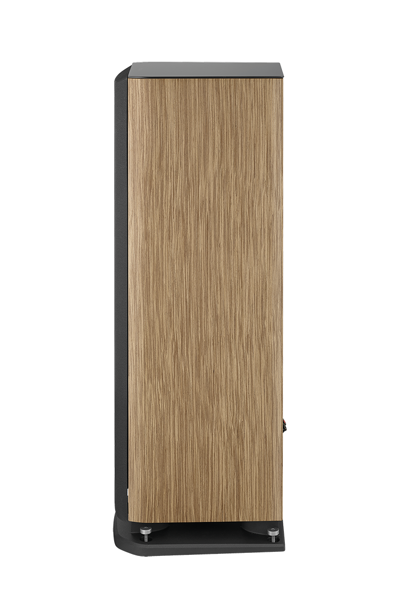 Focal Aria Evo X N°2