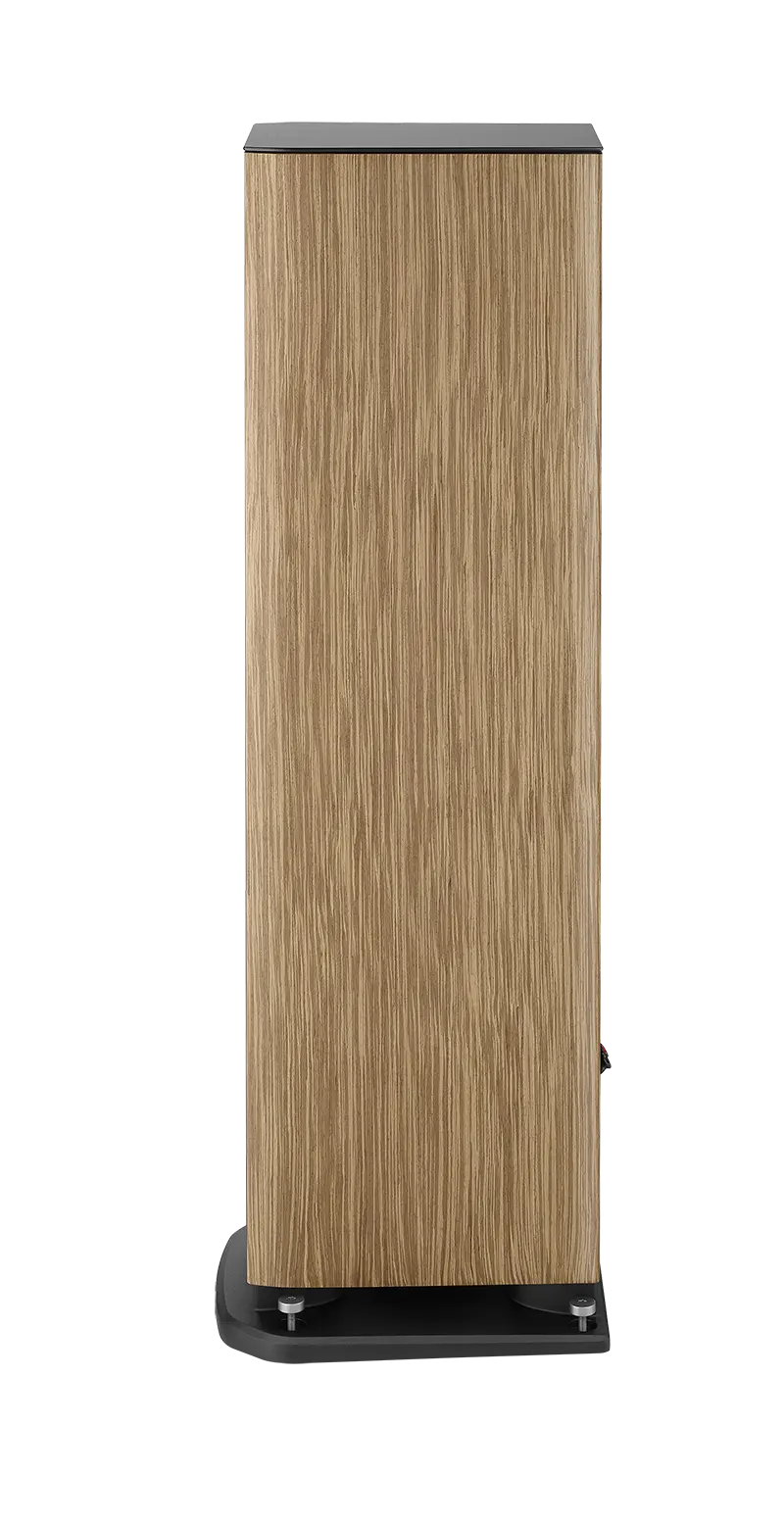 Focal Aria Evo X N°3