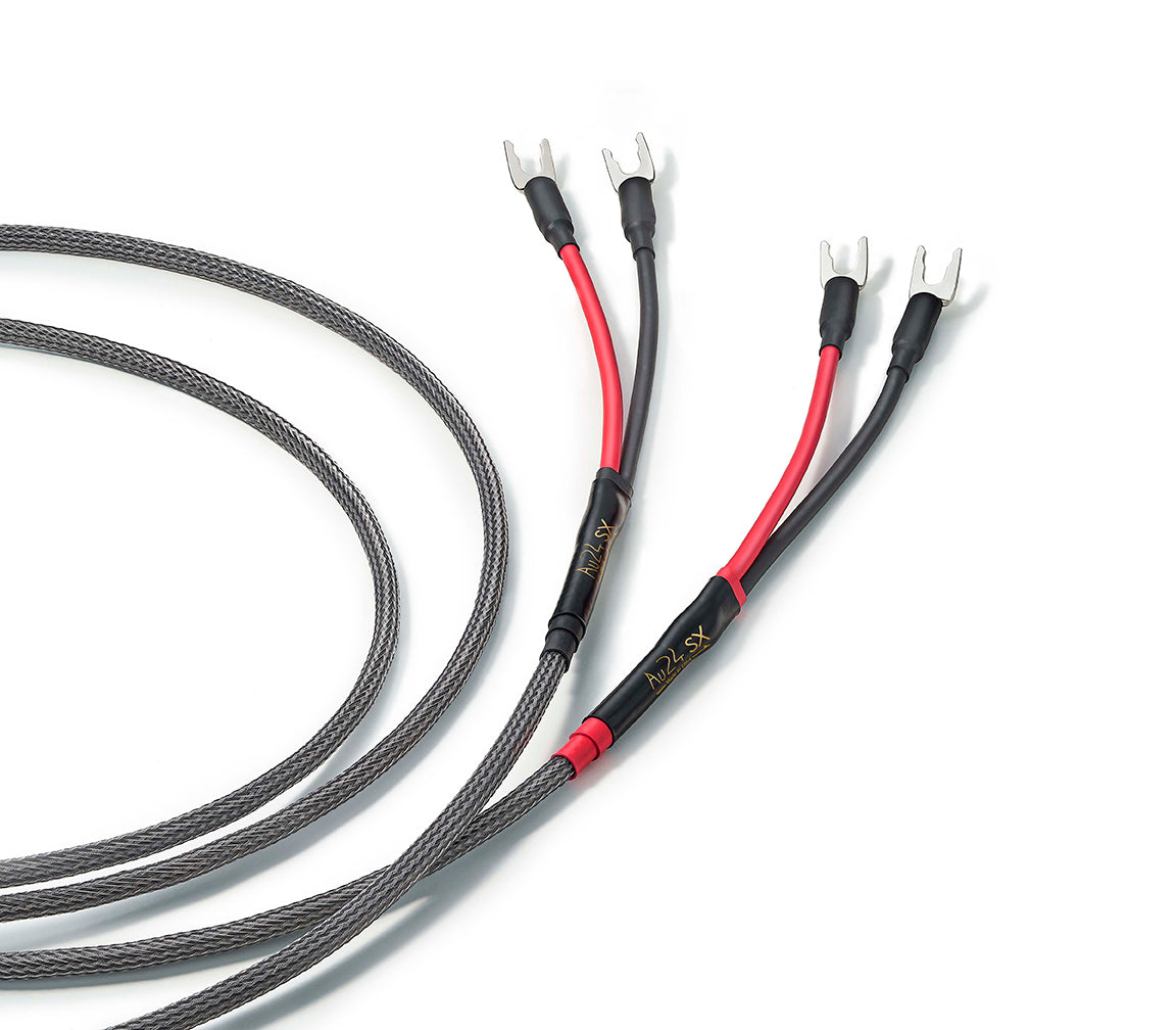 Store Demo - Audience Au24 SX Loudspeaker