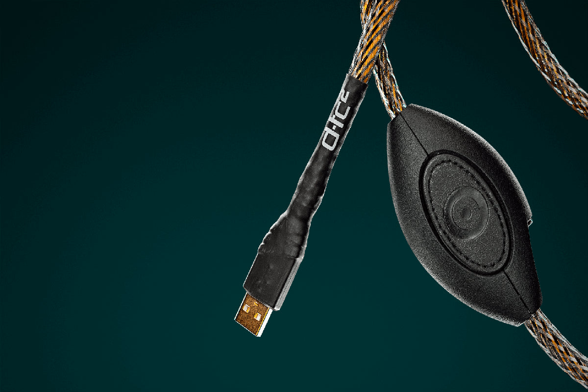 Ansuz Digitalz USB D-TC2/USB Cable