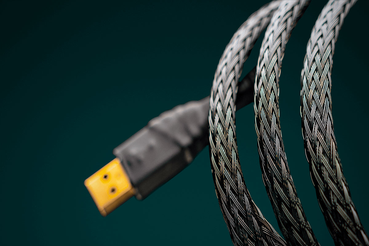 Ansuz Digitalz USB X2/USB Cable