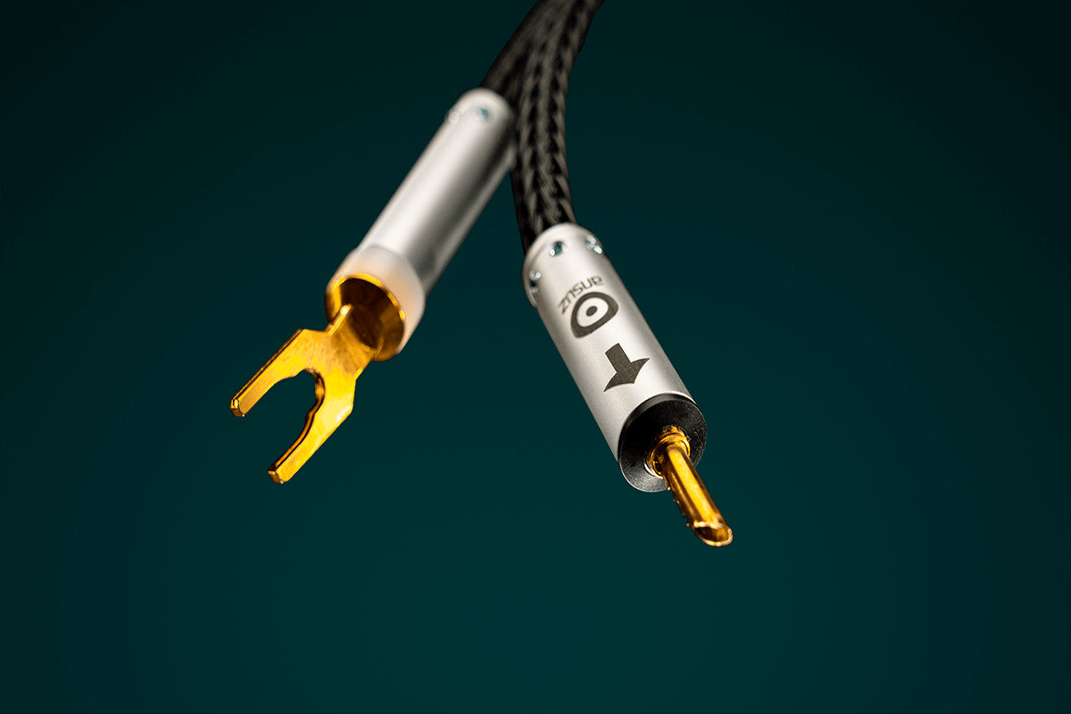 Ansuz Jumperz P2/Jumper Cable