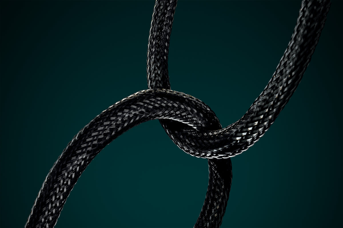 Ansuz Mainz C2/Power Cable - Store Demo