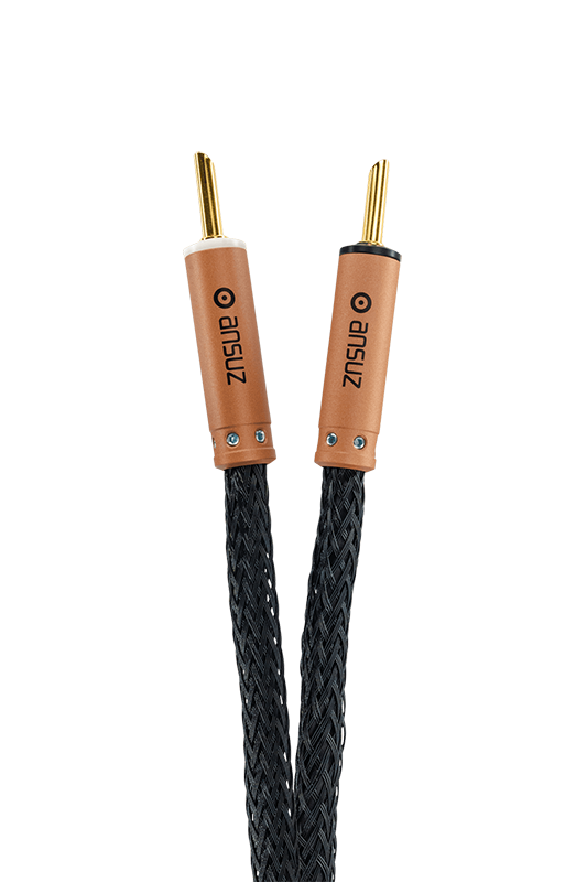 Ansuz Speakz A3/Speaker Cable
