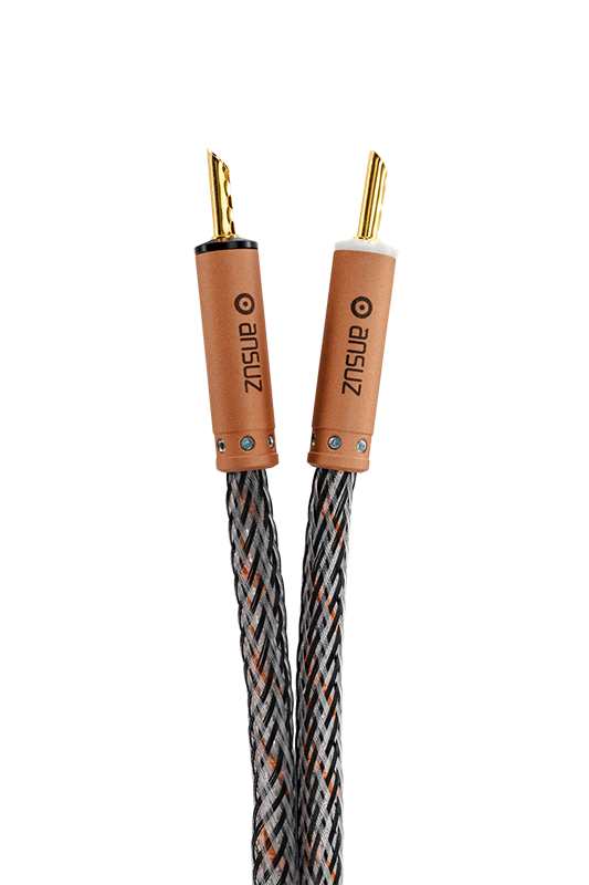 Ansuz Speakz D3/Speaker Cable