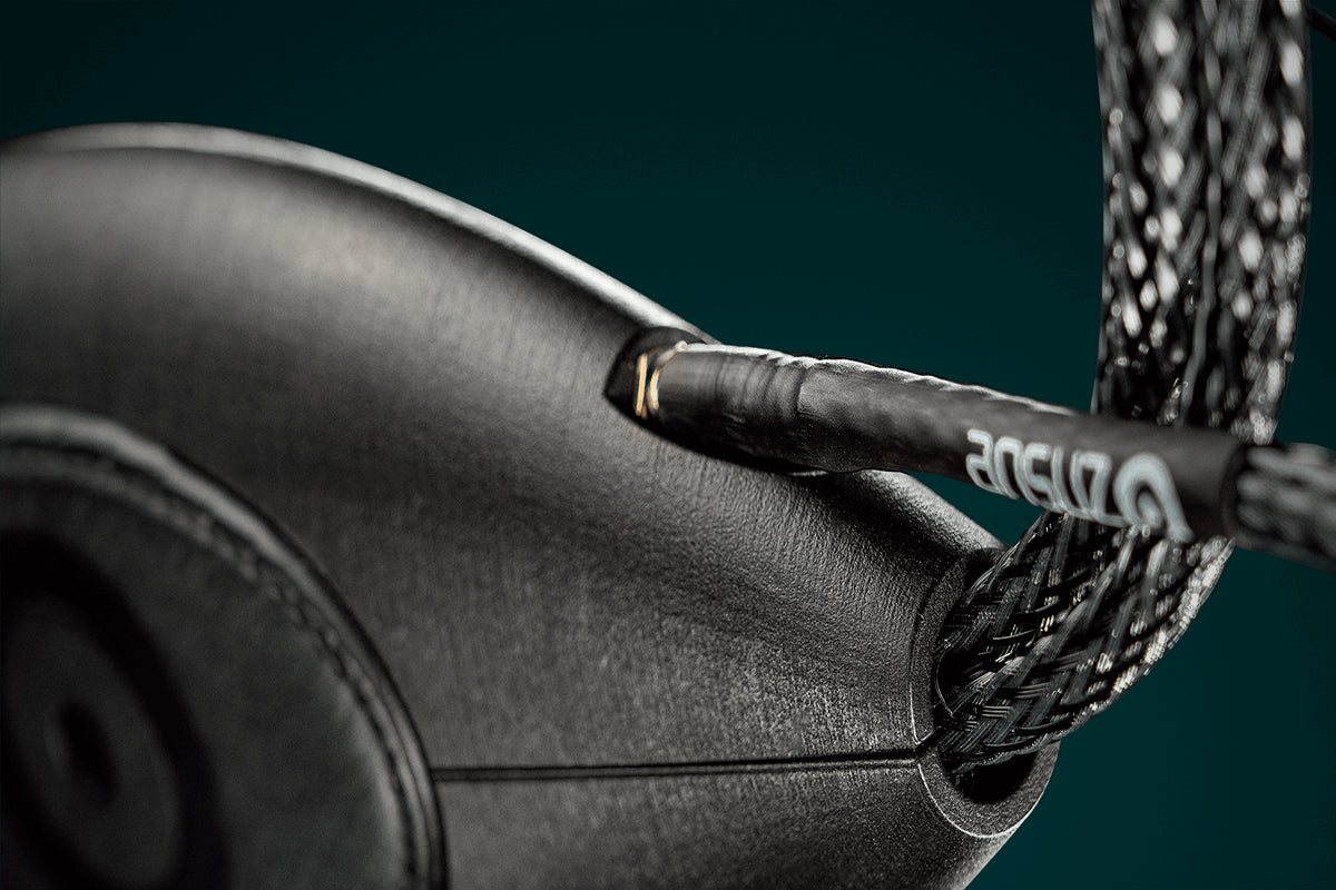 Ansuz Speakz D-TC Supreme/Speaker Cable