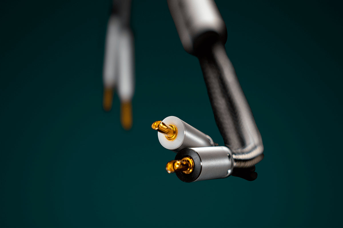 Ansuz Speakz C2/Speaker Cable