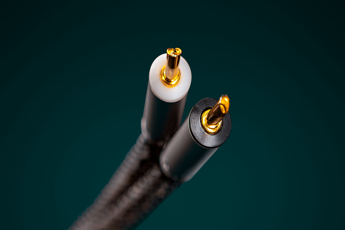 Ansuz Speakz D2/Speaker Cable