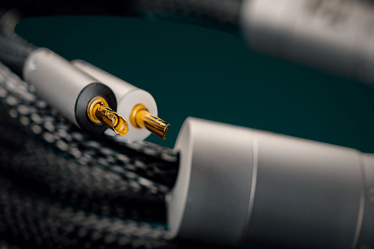 Ansuz Speakz P2/Speaker Cable