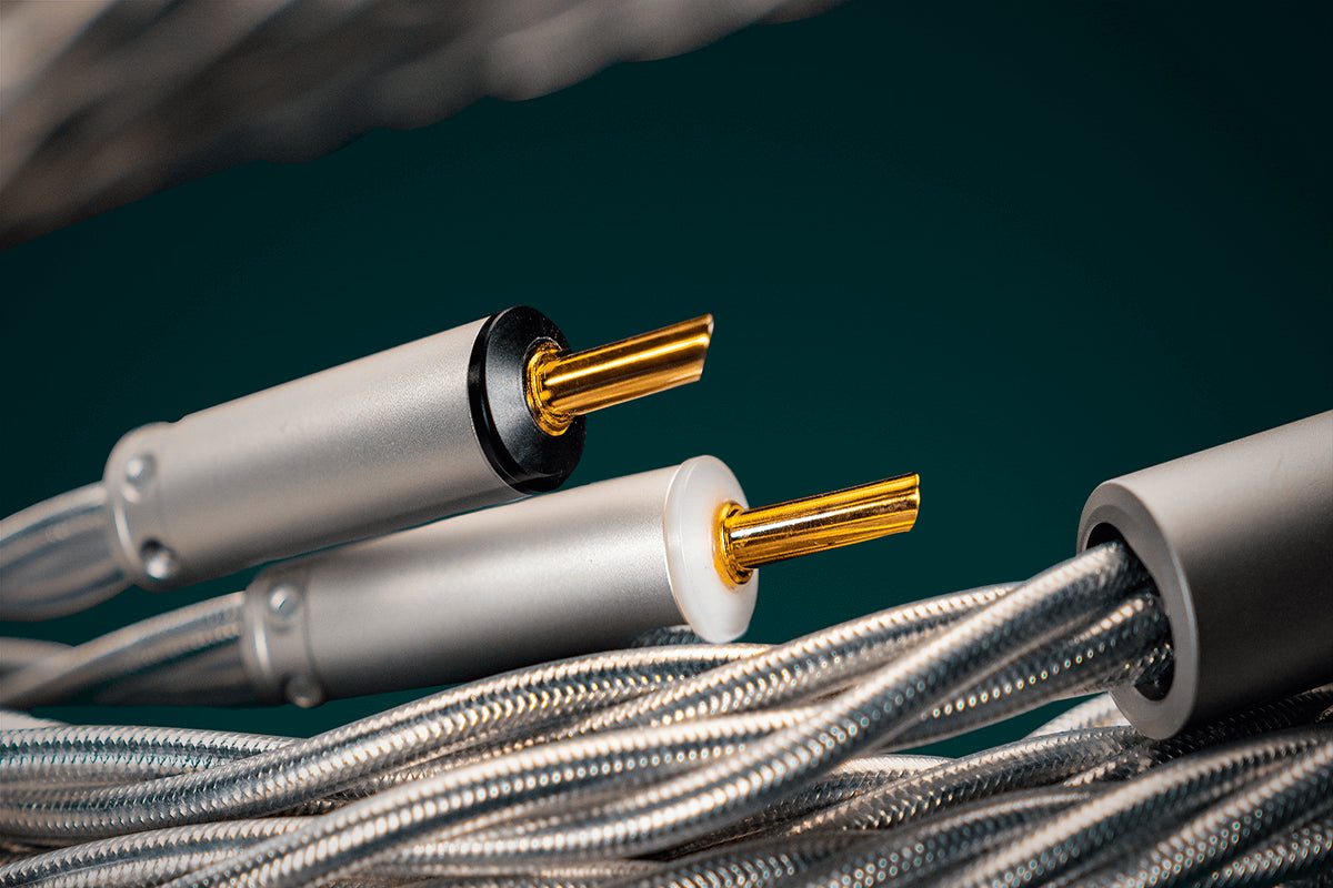 Ansuz Speakz X2/Speaker Cable