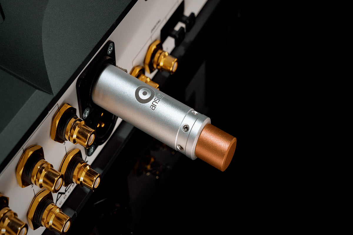 Ansuz Sortz/Noise reduction – XLR (female)