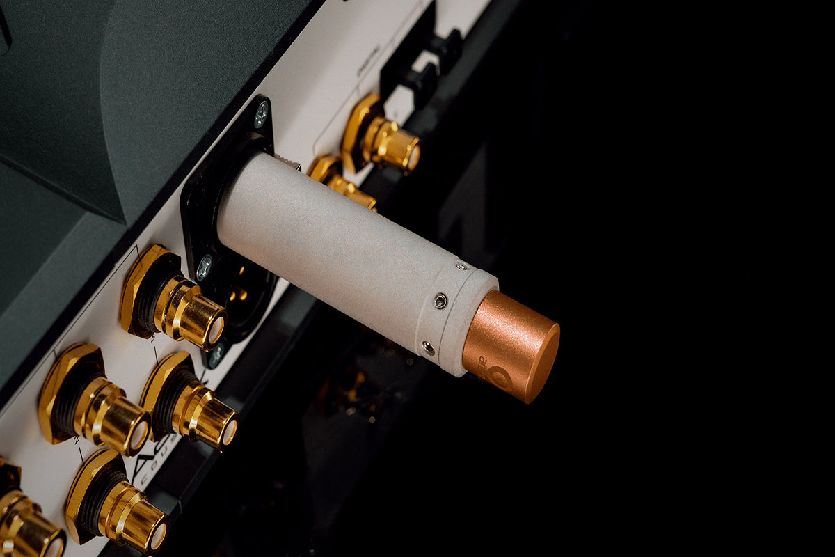 Ansuz Sortz Signature/Noise reduction – XLR (female)