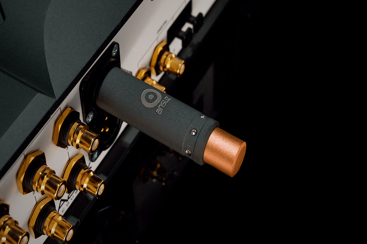 Ansuz Sortz Supreme/Noise reduction – XLR (female)