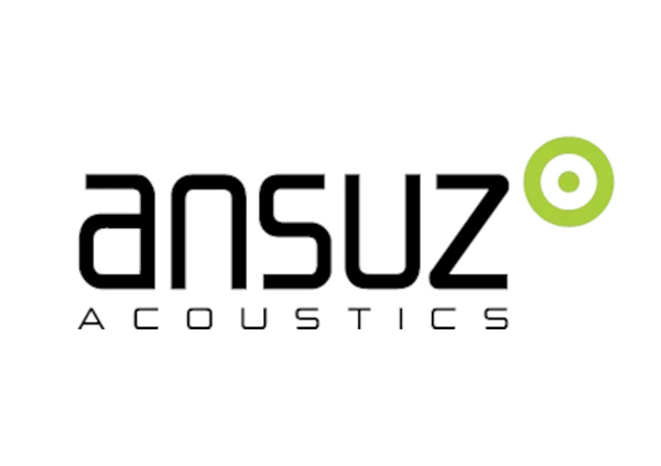 Ansuz Signalz D3/Signal Cable