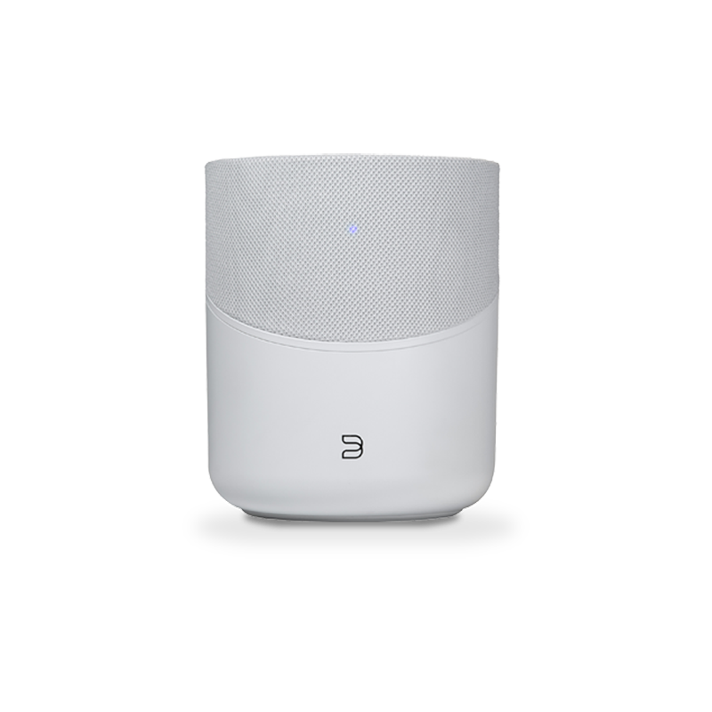 Bluesound Pulse M
