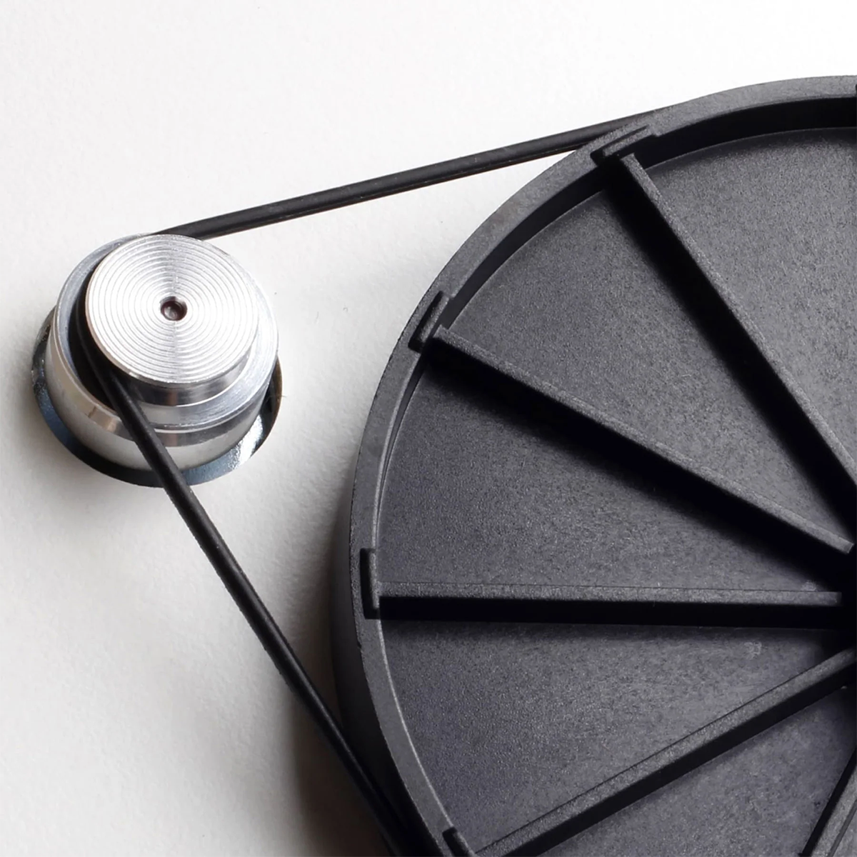 REGA EBLT Drive Belt