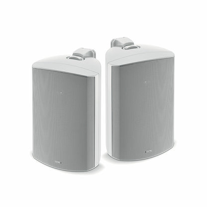Focal 100 OD8