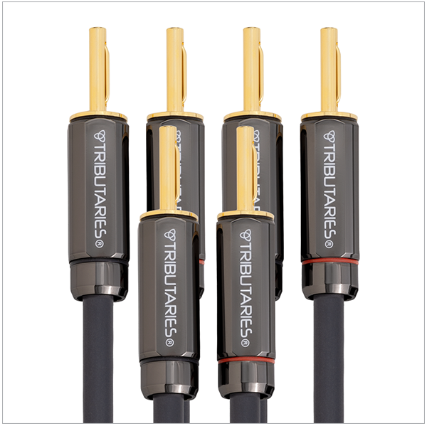 Tributaries Model 6BW MKII - Professional Level Audio Cable