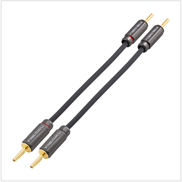 Tributaries Model 6SJ MKII - Series 6 Speaker Jumper