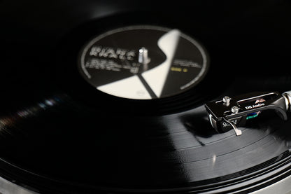 DS Audio DS Grand Master