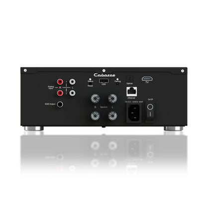 Cabasse AMP 240S