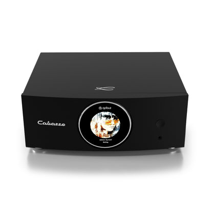 Cabasse AMP 240S