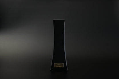 DS Audio Ion-001 Vinyl Ionizer