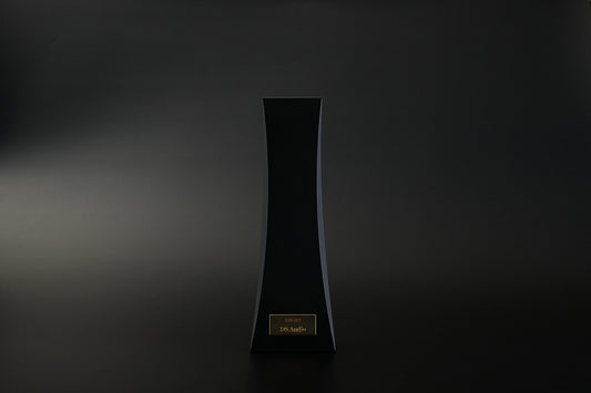 DS Audio Ion-001 Vinyl Ionizer