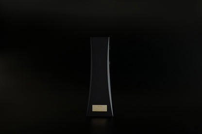 DS Audio Ion-001 Vinyl Ionizer