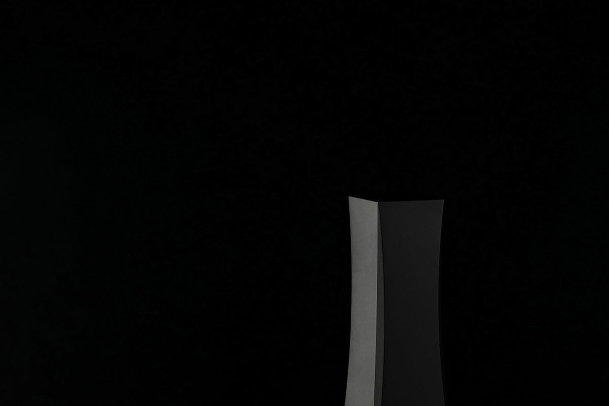 DS Audio Ion-001 Vinyl Ionizer