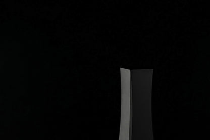 DS Audio Ion-001 Vinyl Ionizer