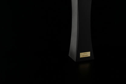 DS Audio Ion-001 Vinyl Ionizer