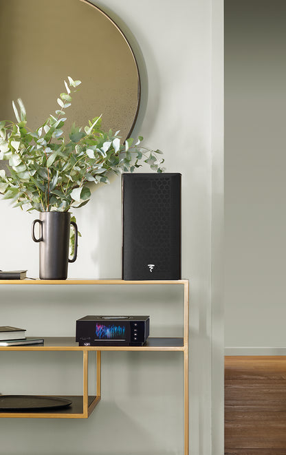Focal Aria Evo X N°1