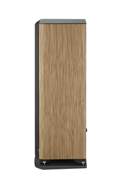 Focal Aria Evo X N°2