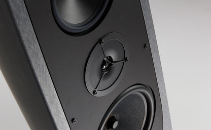 REGA Aya Loudspeaker