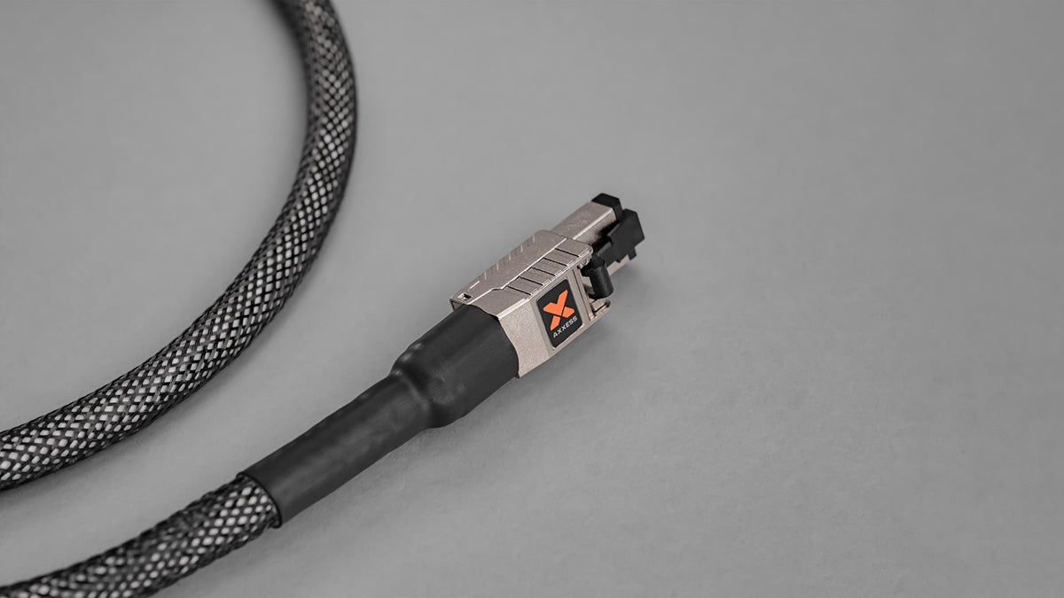 Axxess Digital Ethernet