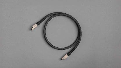 Axxess Digital Ethernet