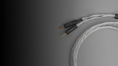 Axxess Speaker Cable