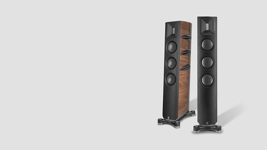 Borresen T3 Floorstanding Loudspeaker