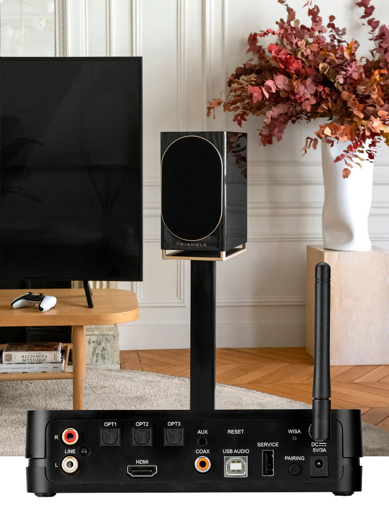 Triangle Capella Active Loudspeaker