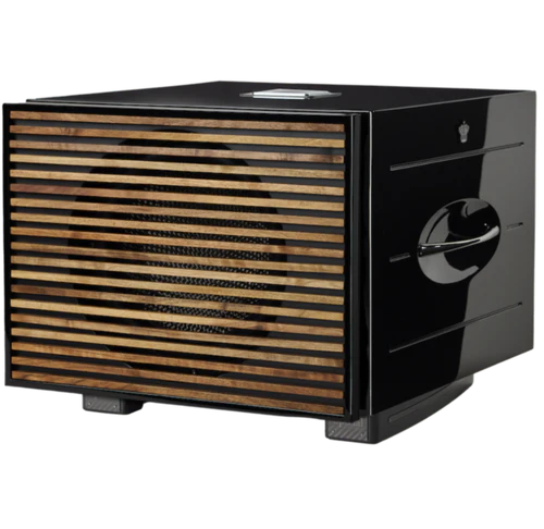 REL Acoustics Carbon Special Black Label