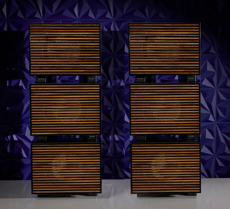 REL Acoustics Carbon Special Black Label