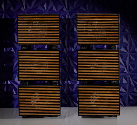 REL Acoustics Carbon Special Black Label