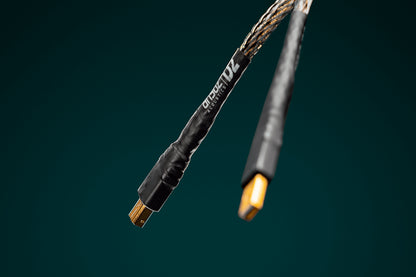 Ansuz Digitalz USB D2/USB Cable