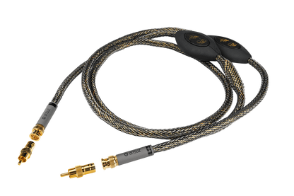 Ansuz Digitalz D-TC3 Gold Signature