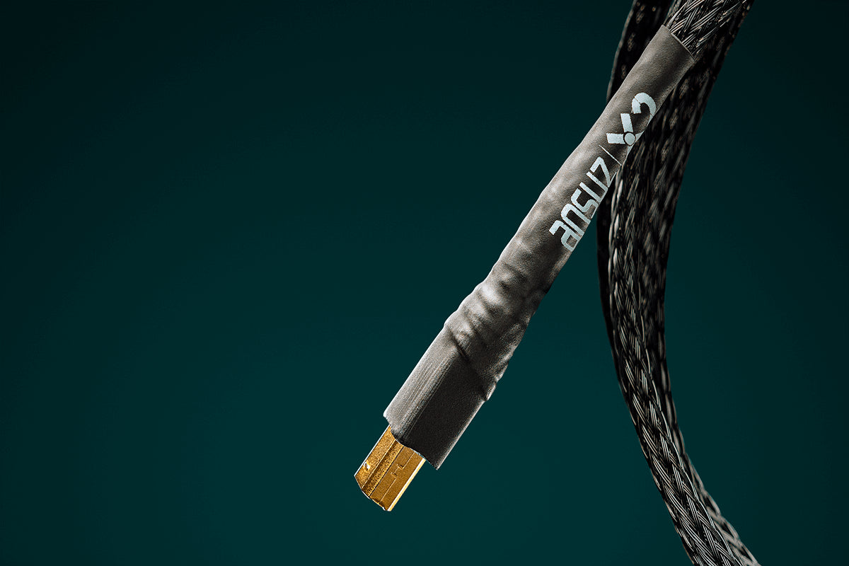 Ansuz Digitalz USB X2/USB Cable