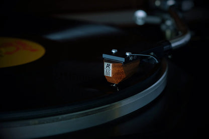 Analog Relax EX 300 Phono Cartridge