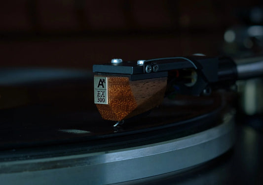 Analog Relax EX 300 Phono Cartridge