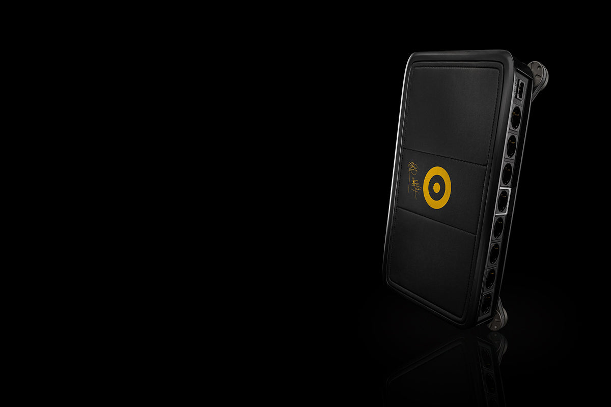 Ansuz Mainz8 D-TC Gold Signature/Power Distributor | House Of Stereo