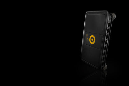 Ansuz Mainz8 D-TC Gold Signature/Power Distributor